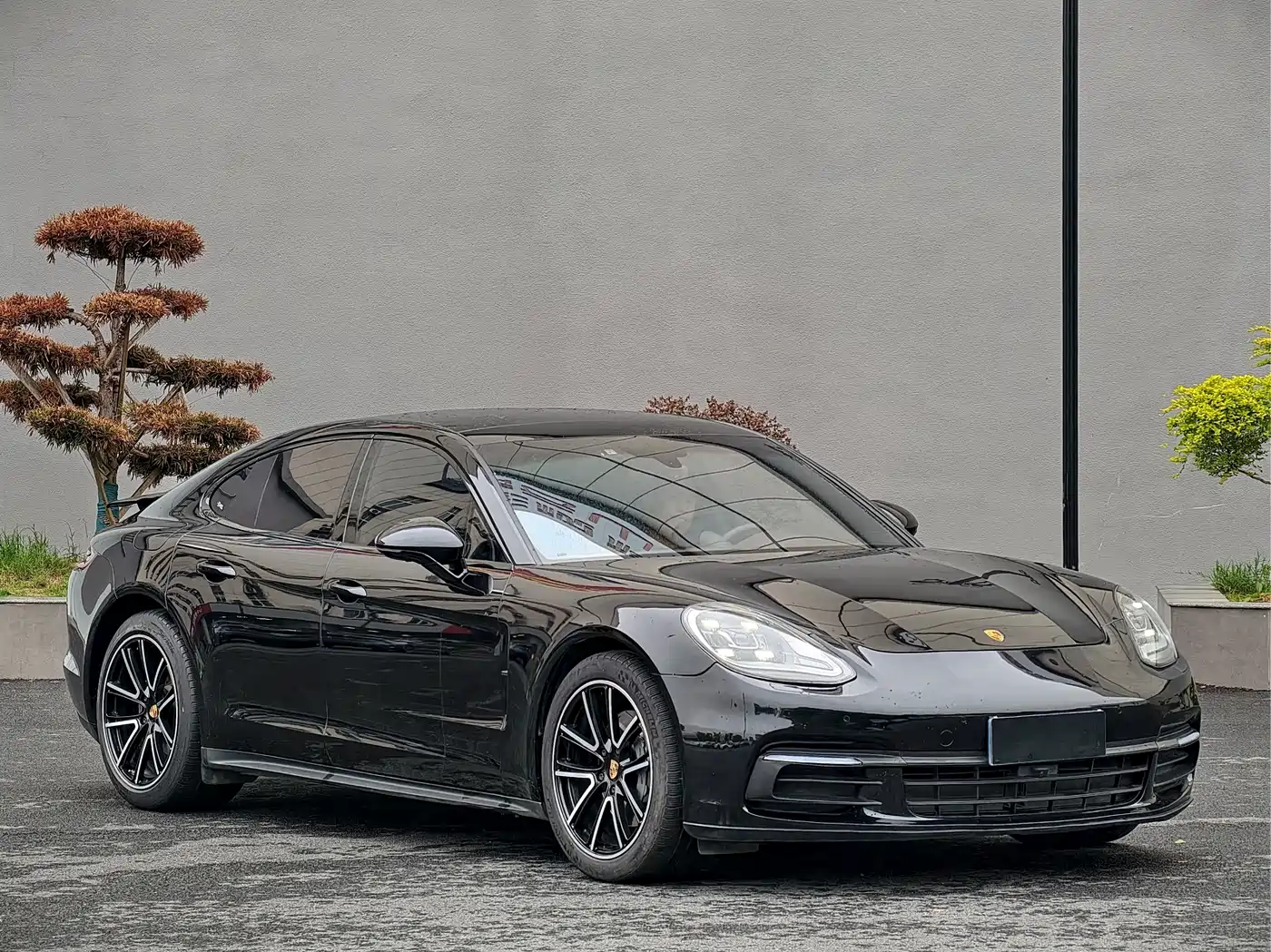 Porsche Panamera 2017 Panamera 4S 2.9T фото 3