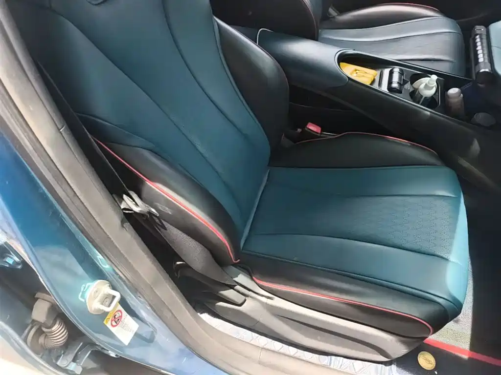 BYD Dolphin 2021 401km Knight Edition фото 25