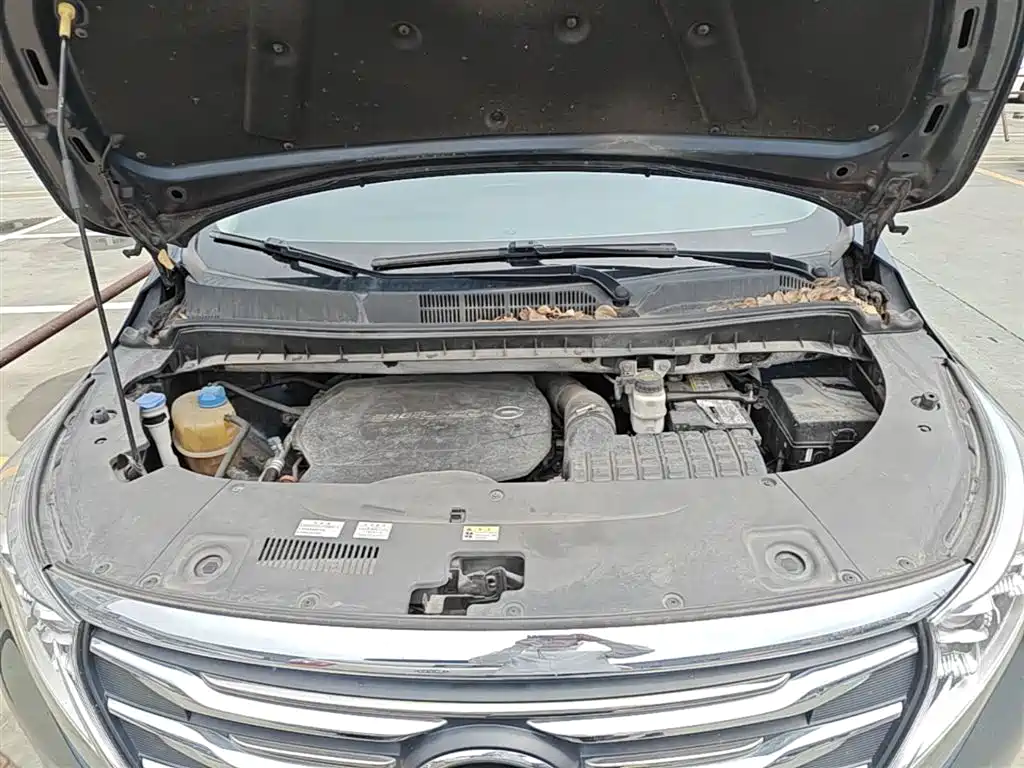 GAC Trumpchi Trumpchi M8 2020 390T Prestige фото 20