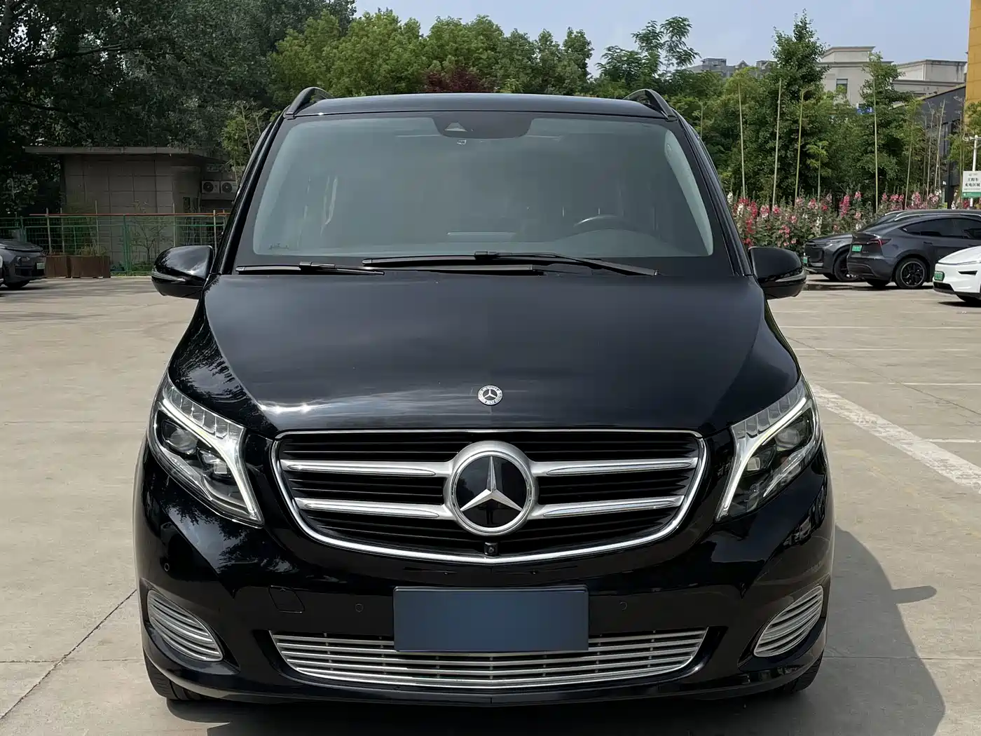 Mercedes-Benz V-Class 2018 V 260 Premium Edition China VI фото 2