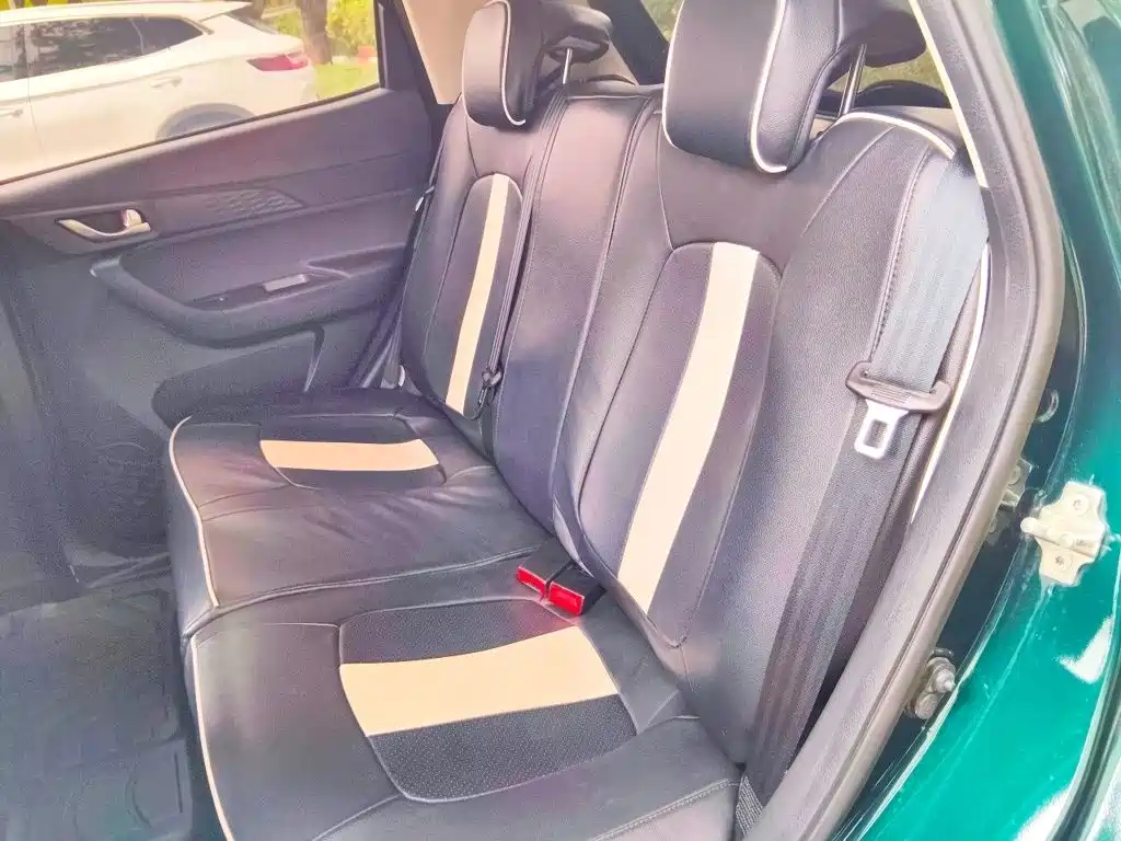 Changan Benben E-Star 2021 2020 Heartjoy Edition NCM