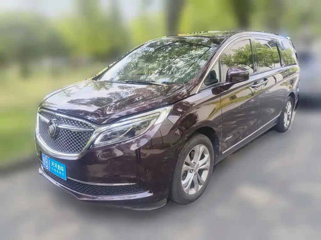 Фото 1 - Buick GL8