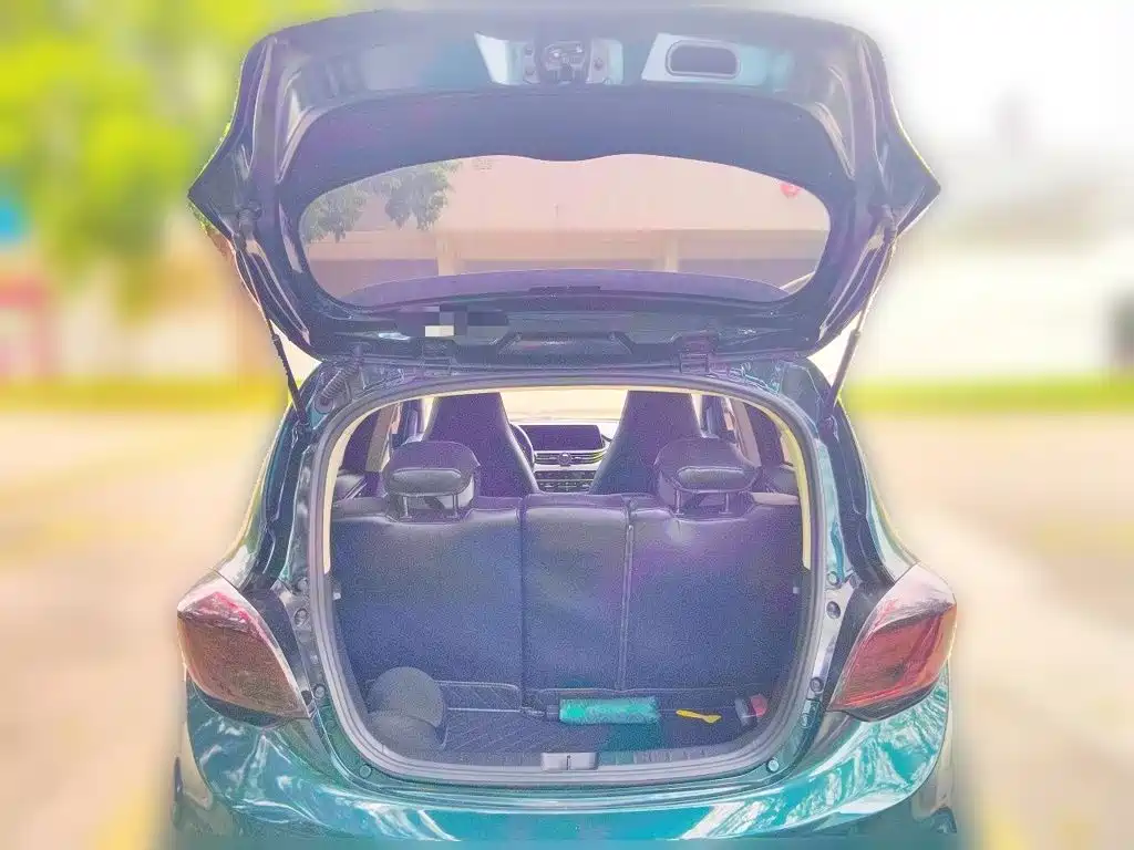 Changan Benben E-Star 2021 2020 Heartjoy Edition NCM