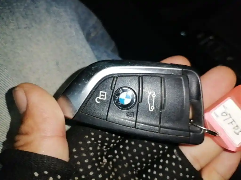 BMW X1 2019 xDrive20Li Luxury Model фото 9