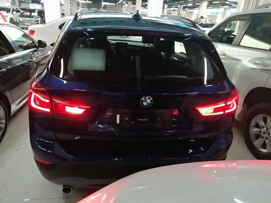 BMW X1 2019 xDrive20Li Luxury Model фото 6
