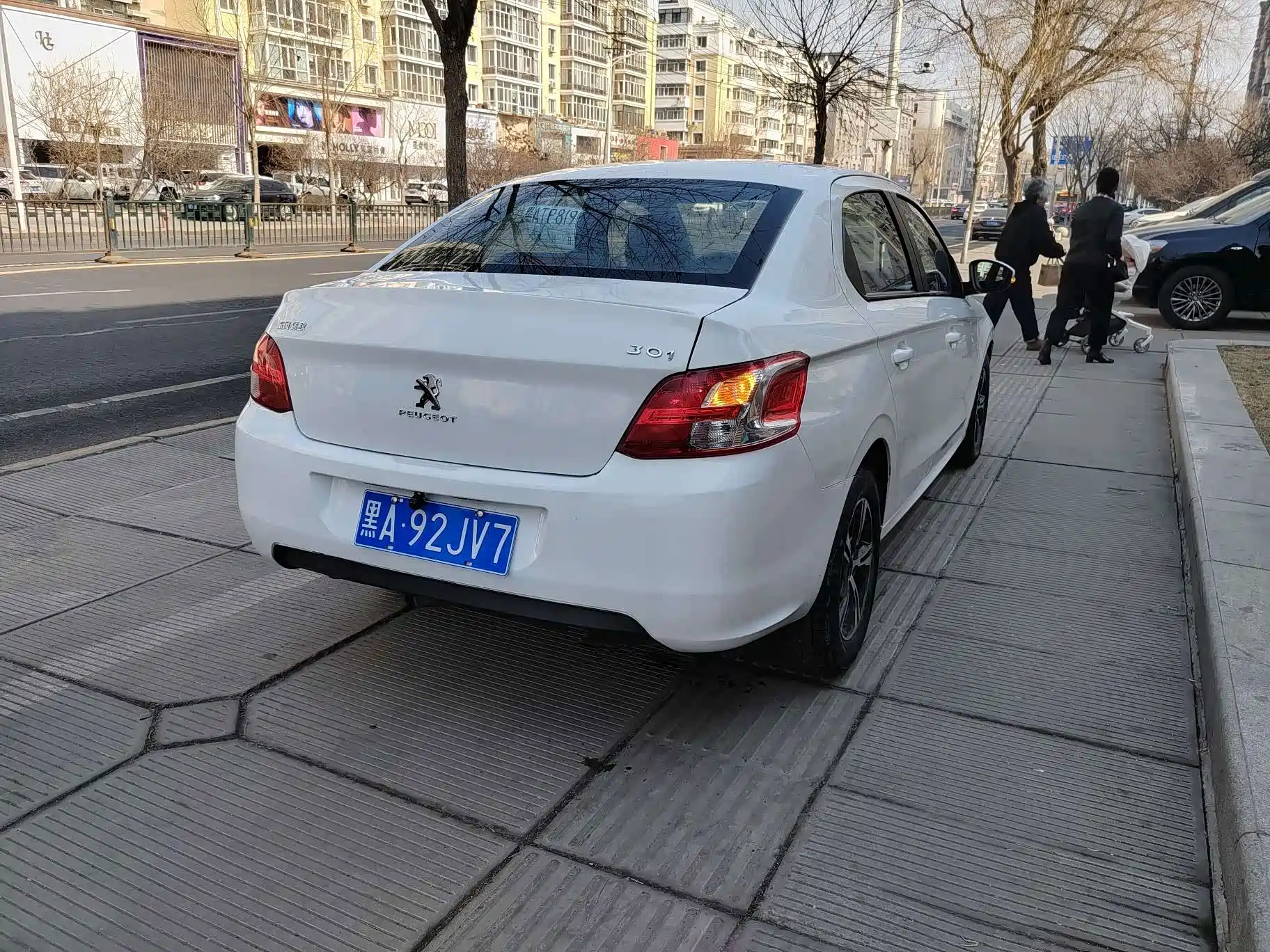 صورة 6 - Peugeot 301
