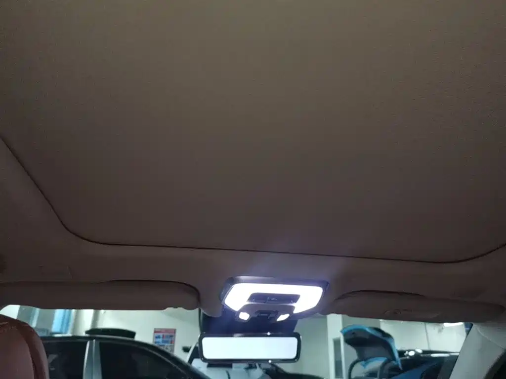 Hongqi H9 2022 2.0T Smart Connect Flag Smooth Edition фото 18