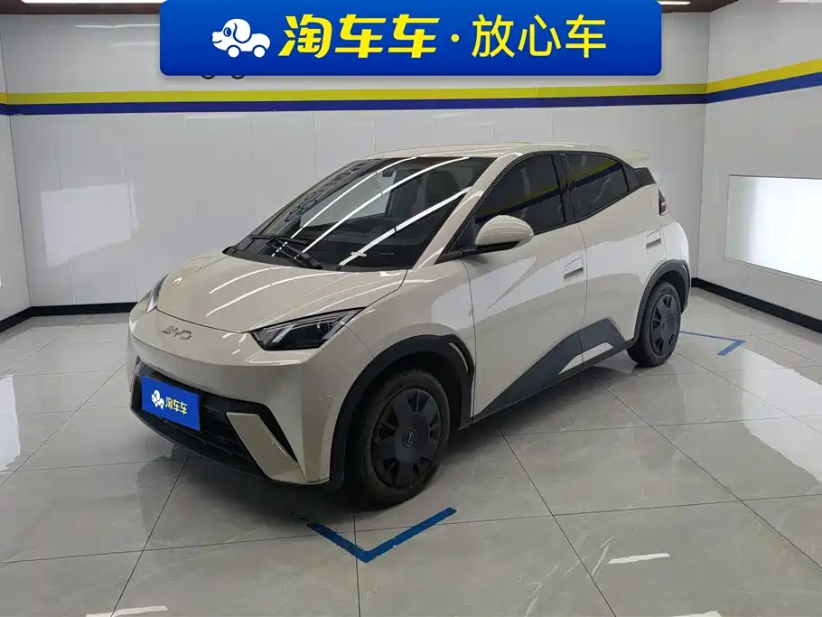 BYD Seagull 2025 305km Vitality
