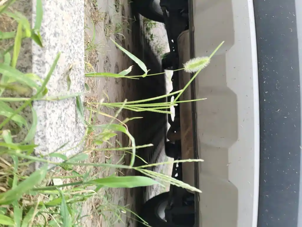 Haval H2 2019 2018 Creation Edition Blue Label 1.5T Manual 2WD Style