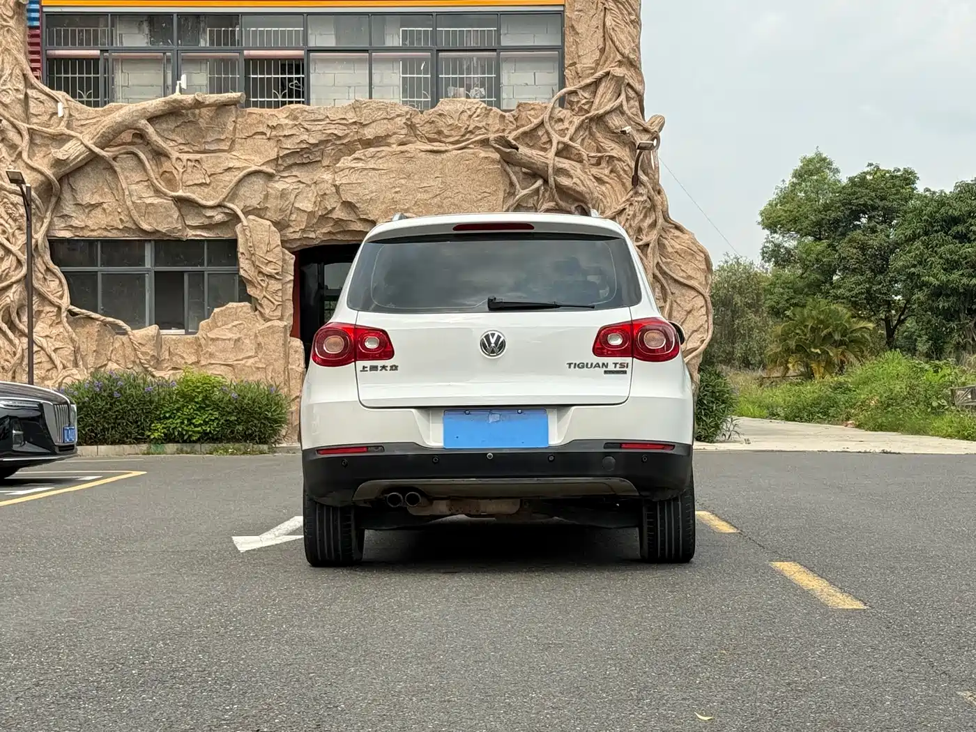 Volkswagen Tiguan 2012 1.8TSI Automatic 4WD Elite Edition фото 5