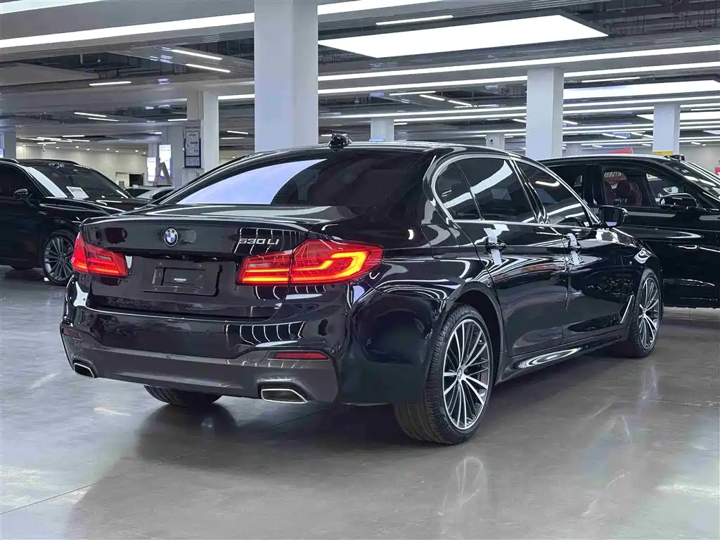 BMW 5 Series 2020 530Li Leading M Sport Package фото 15