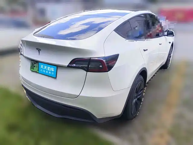 Tesla Model Y 2024 Rear-Wheel Drive Version — фото 2