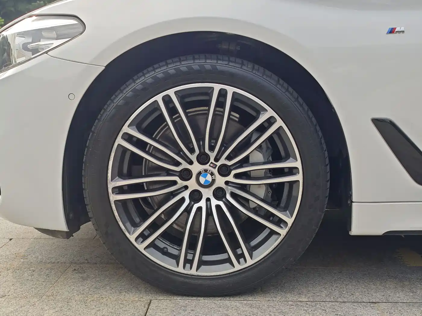 BMW 5 Series 2019 530Li Leading M Sport Package фото 11