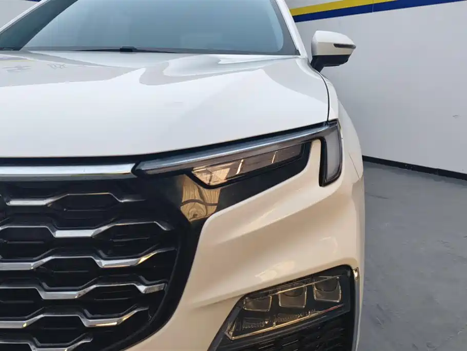 FORD LINGYU