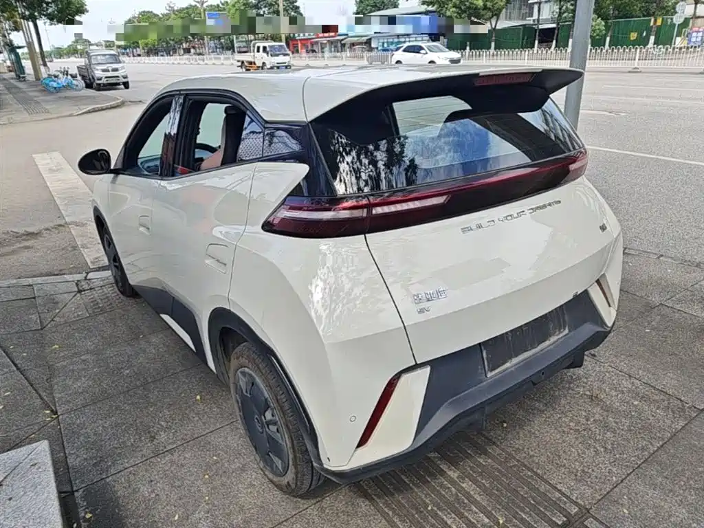 BYD Seagull 2024 Glory Edition 305km Vitality Edition фото 5