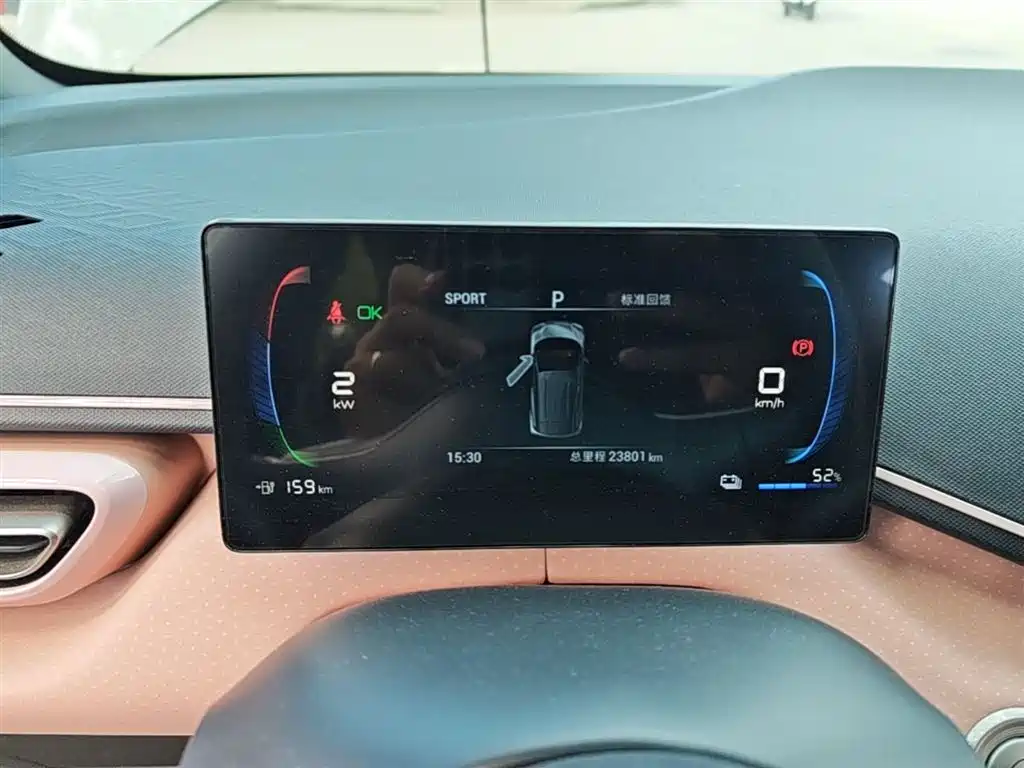 BYD Seagull 2024 Glory Edition 305km Vitality Edition фото 12
