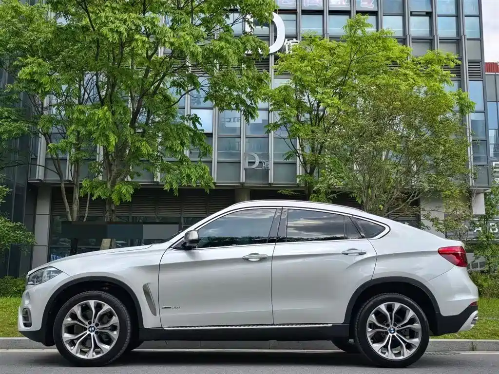 BMW X6 2017 xDrive35i Leading фото 2