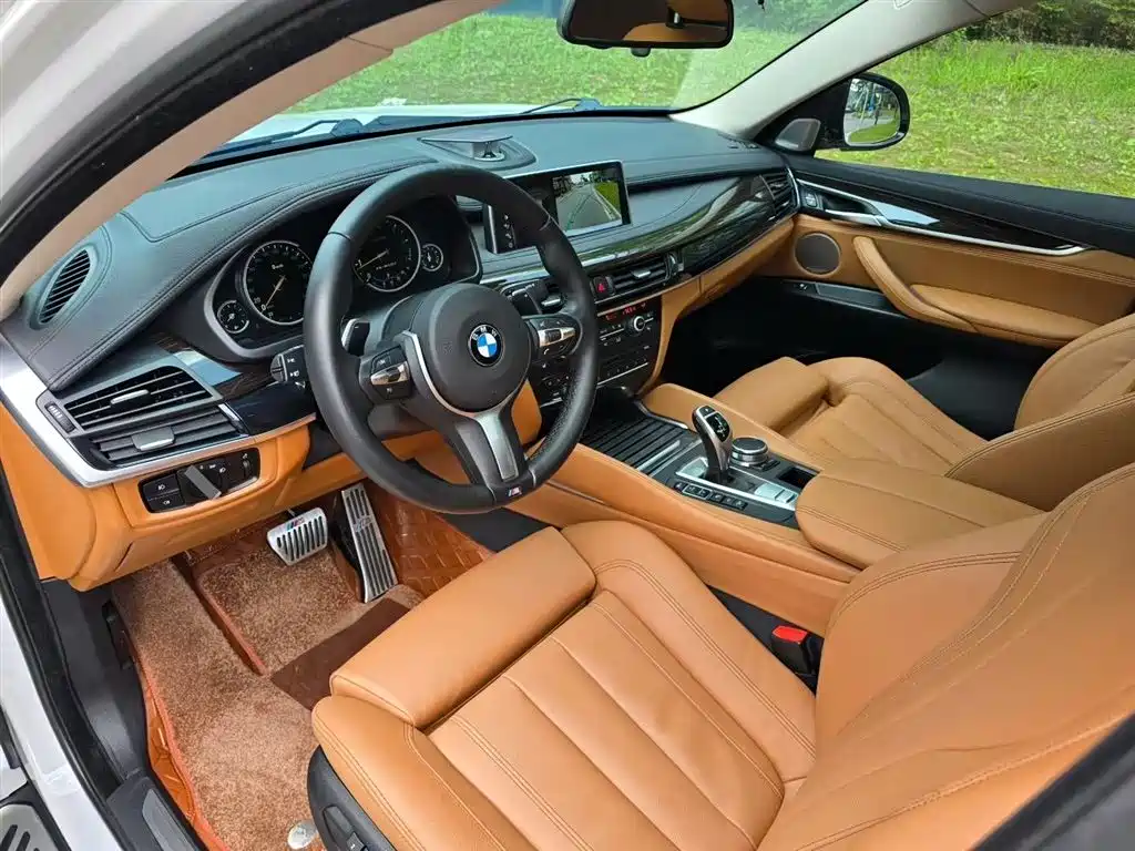 BMW X6 2017 xDrive35i Leading фото 6