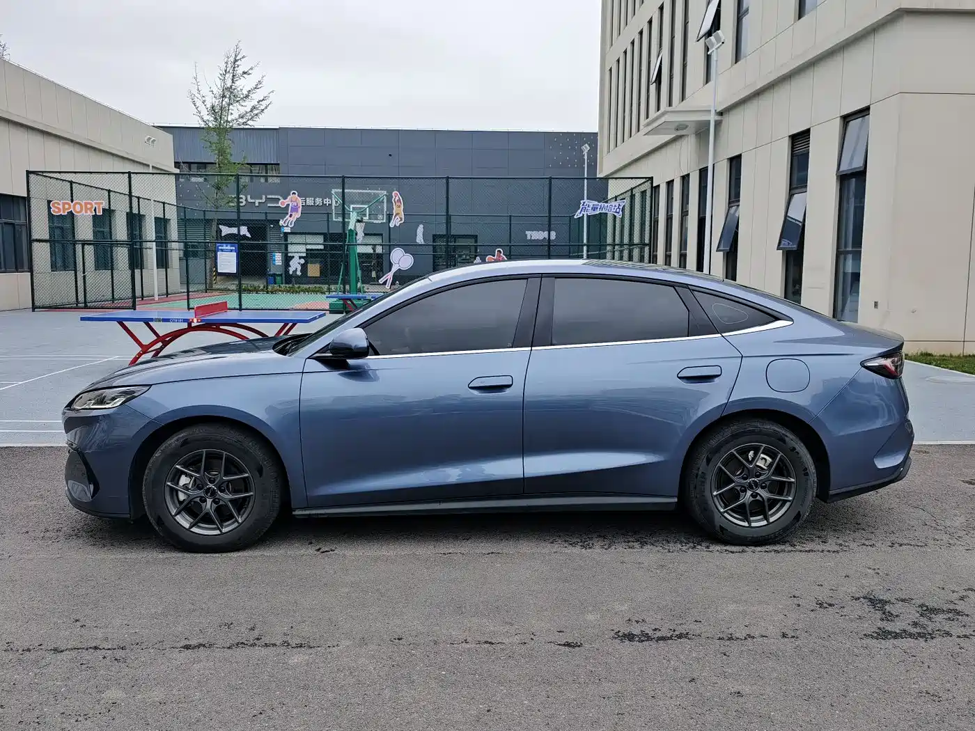 BYD Seal 06 New Energy 2024 DM-i 80KM Luxury фото 6