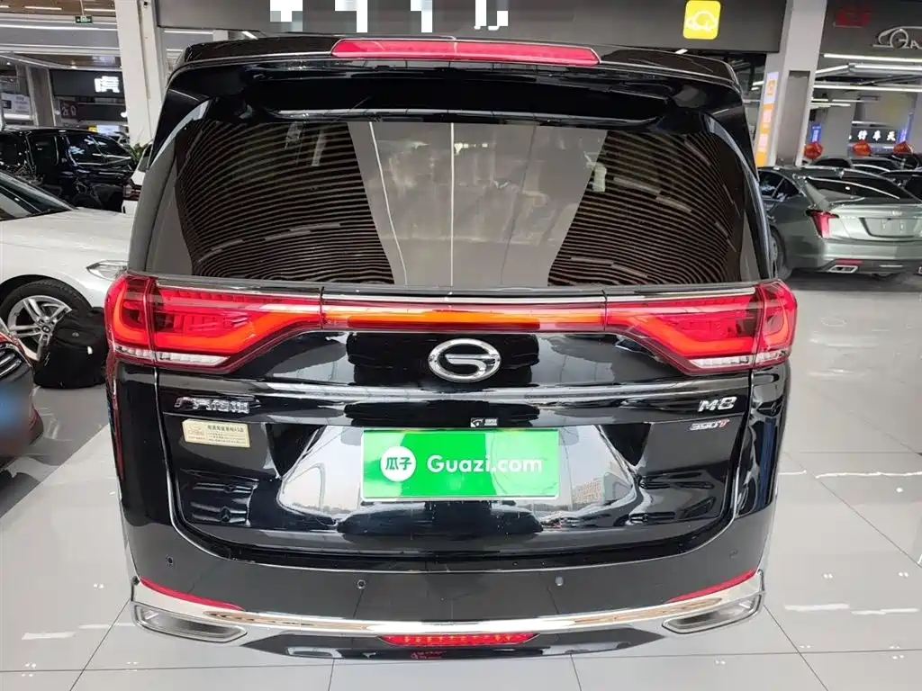 GAC Trumpchi Trumpchi M8 2023 Leading Series 390T Premium Edition фото 4