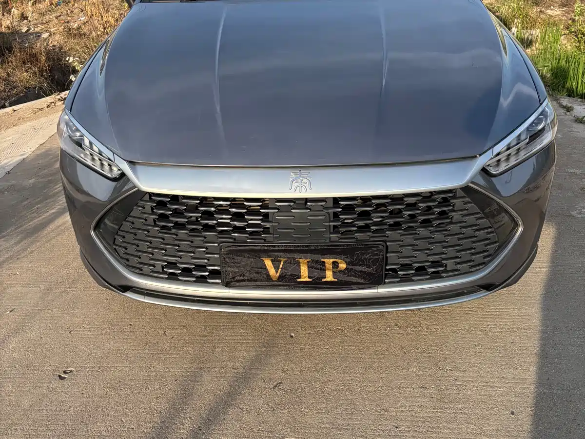 BYD Qin PLUS 2021 DM-i 120KM Premium фото 2