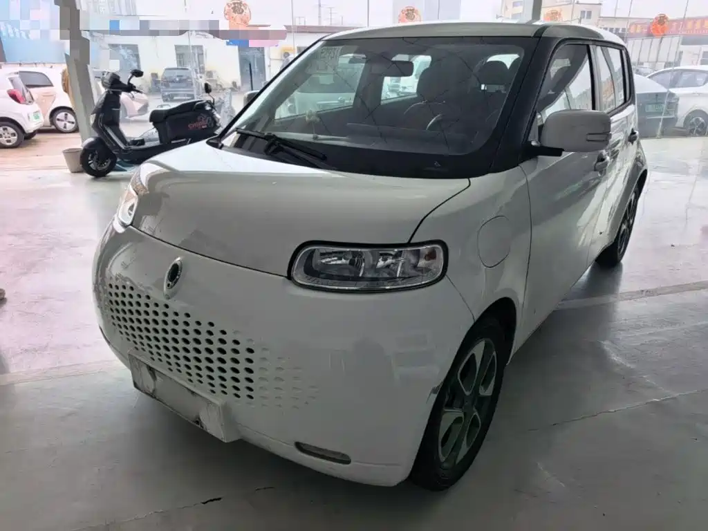 Ora White Cat 2021 2020 305km Luxury