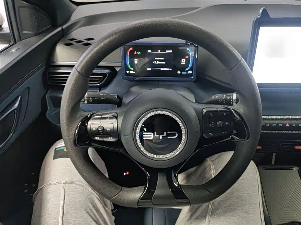 BYD Seagull 2024 Glory Edition 305km Vitality Edition фото 11