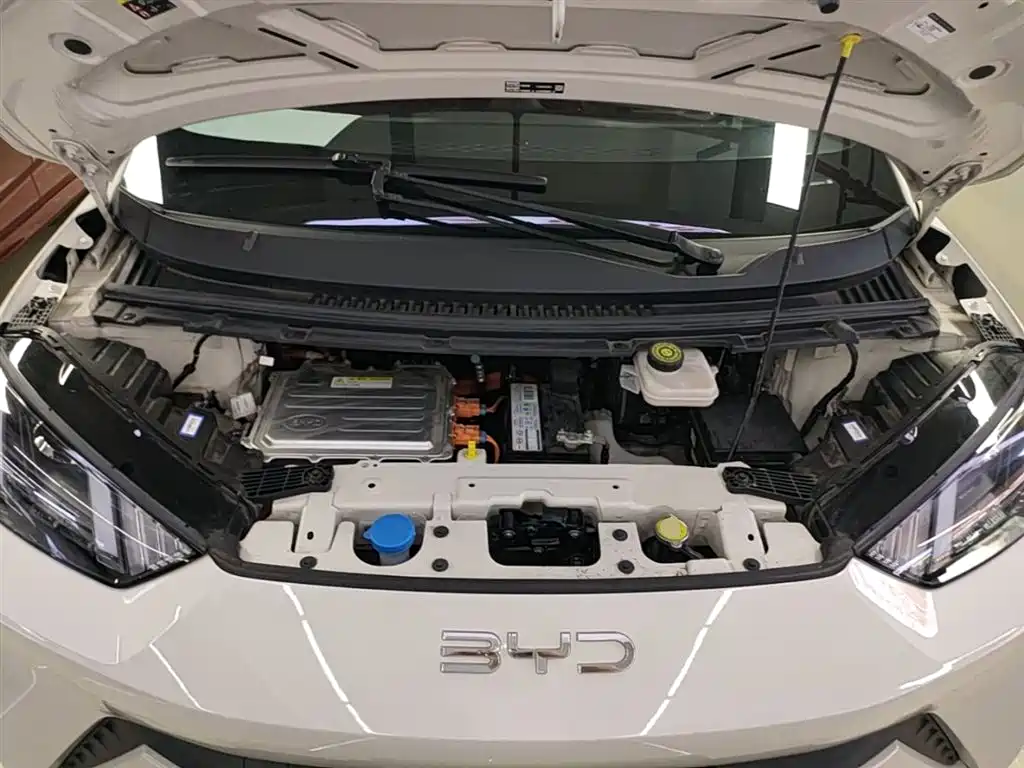 BYD Seagull 2024 Glory Edition 305km Vitality Edition фото 20