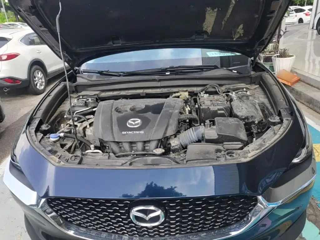 Mazda CX-30 2021 2021 2.0L Auto Premium Joy Type