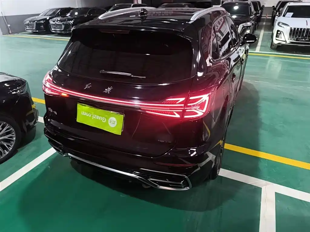 Hongqi HS5 2023 2.0T Flag Enjoy Pro Edition фото 7