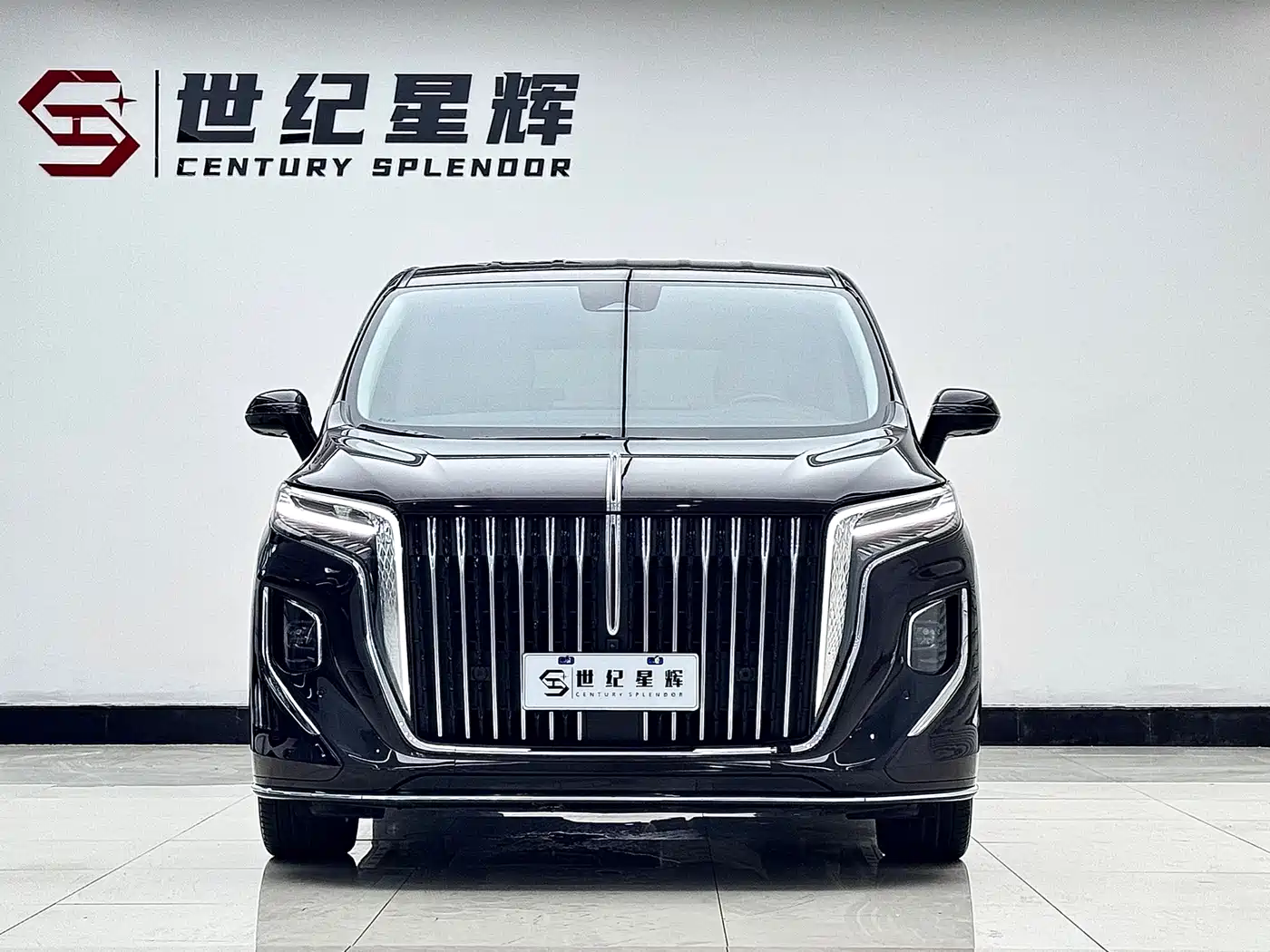 Hongqi HQ9 2023 2.0T Smart Connect Flagship фото 4