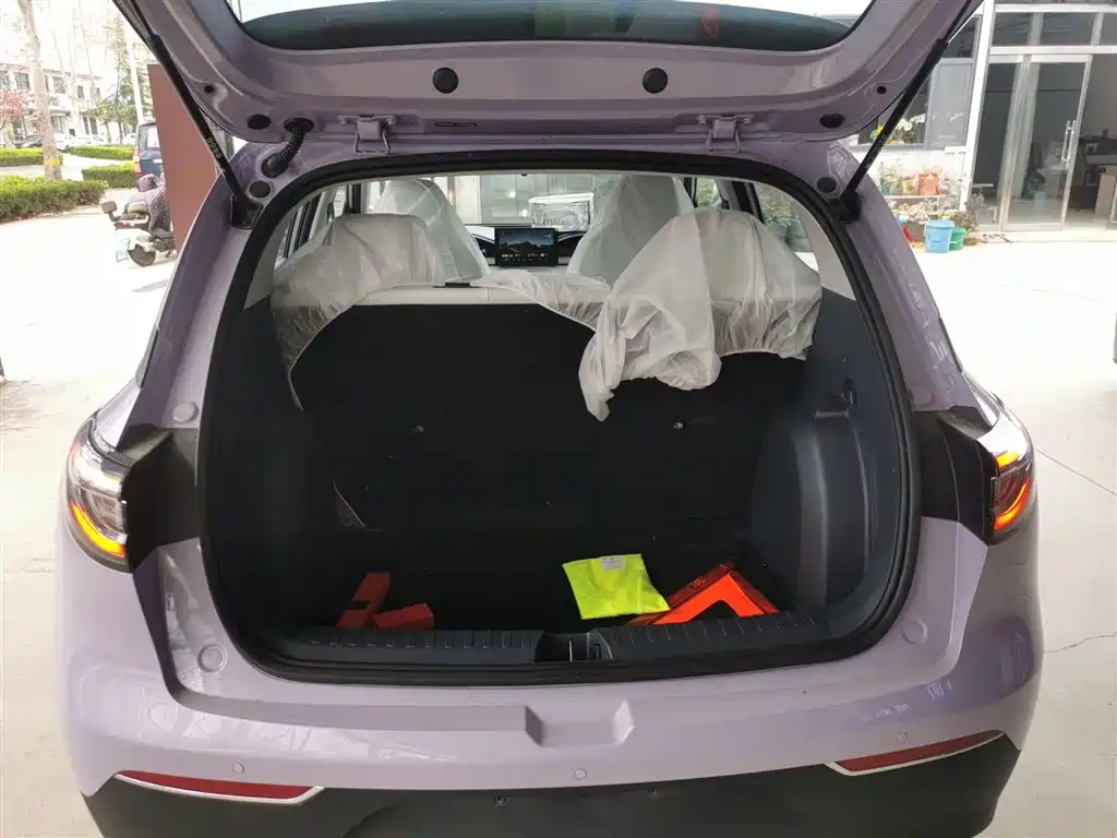 Geely Galaxy Starry Wish 2026 Edition Top Configuration фото 19