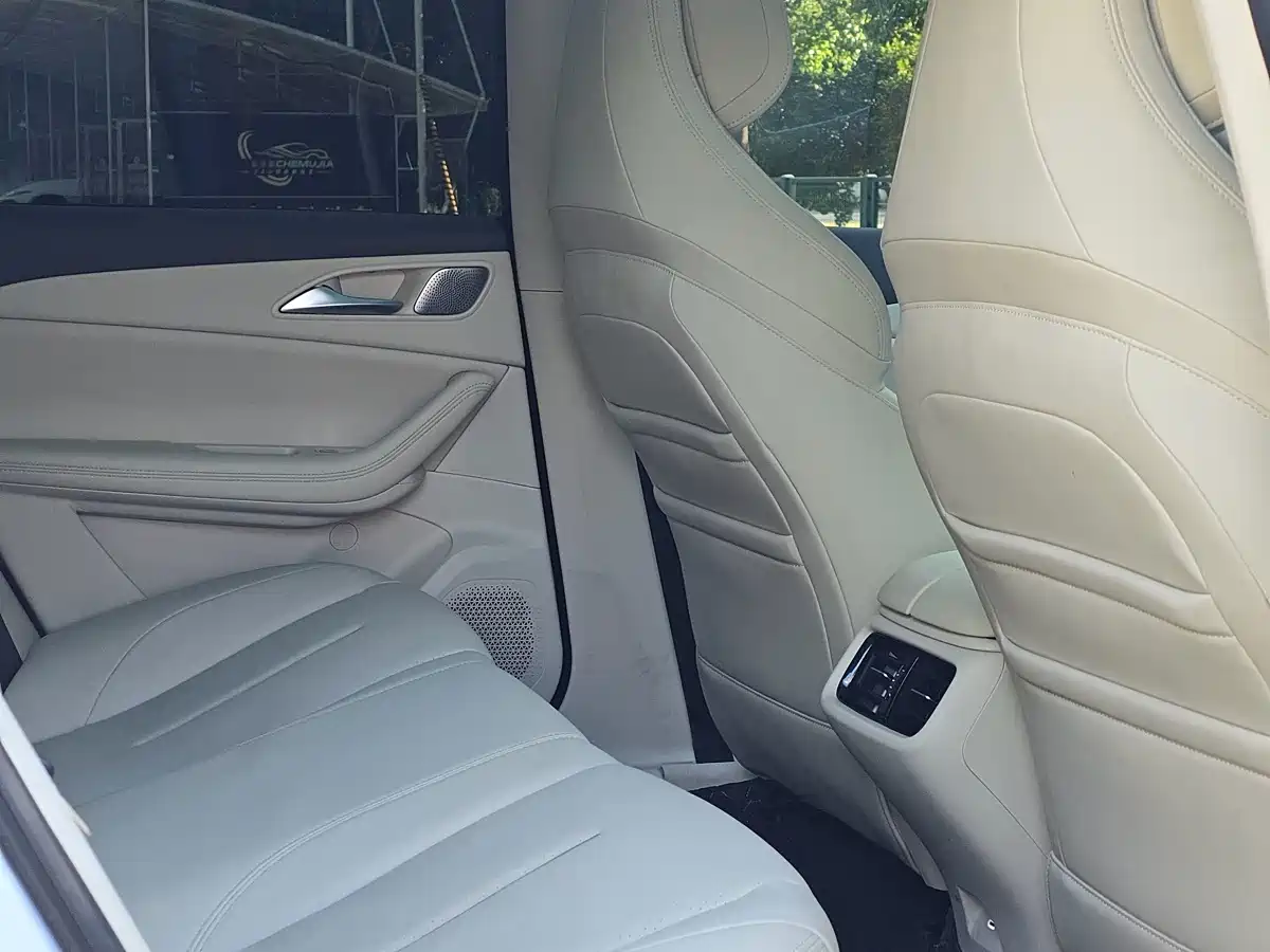 Dongfeng Fengxing Stellar S7 2024 2024 555 Luxury Edition