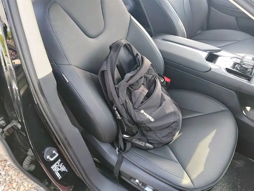 Hongqi E-QM5 2023 Facelift Basic Travel Edition фото 25