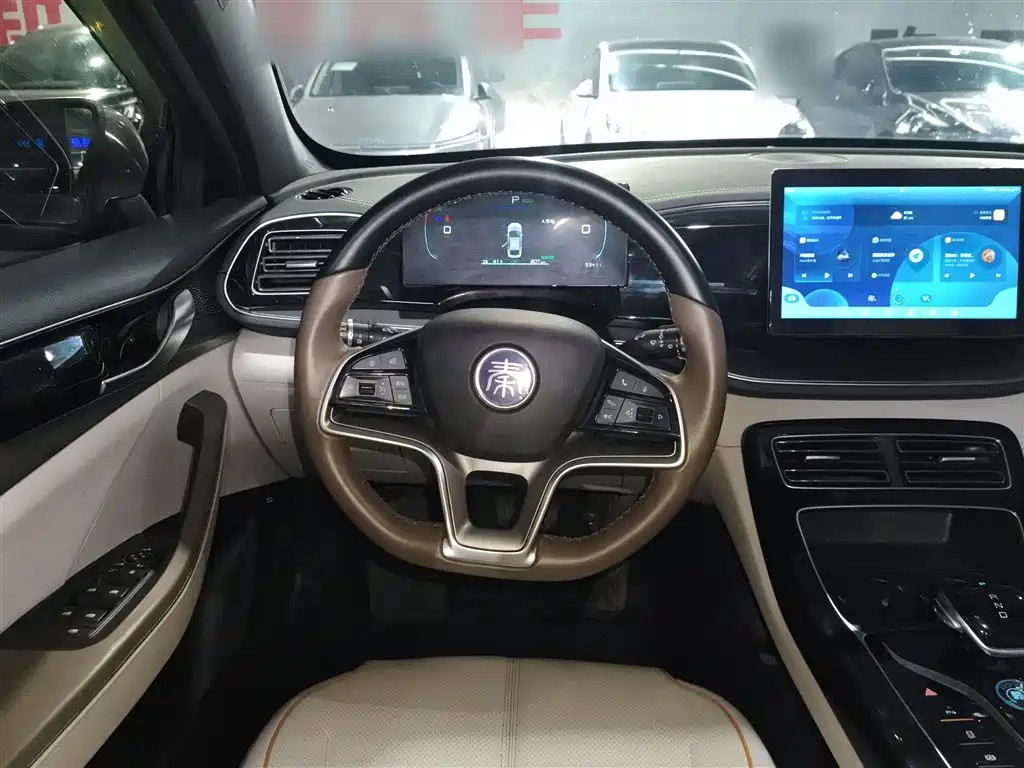 BYD Qin PLUS 2023 Champion Edition EV 510KM Advanced Type фото 11