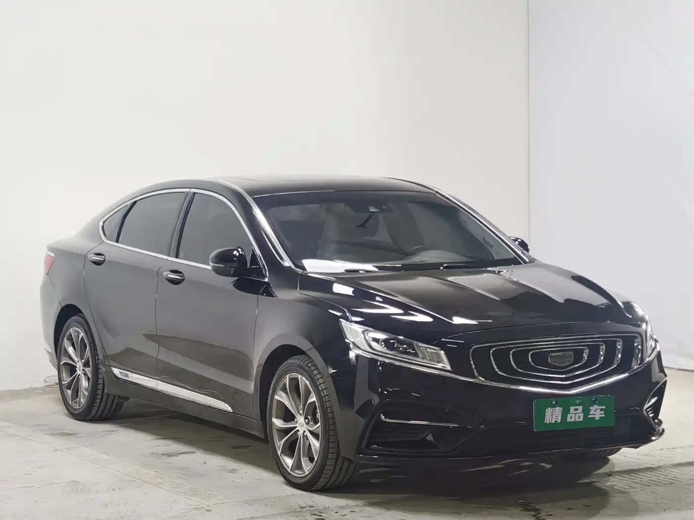 Фото 3 - Geely Borui