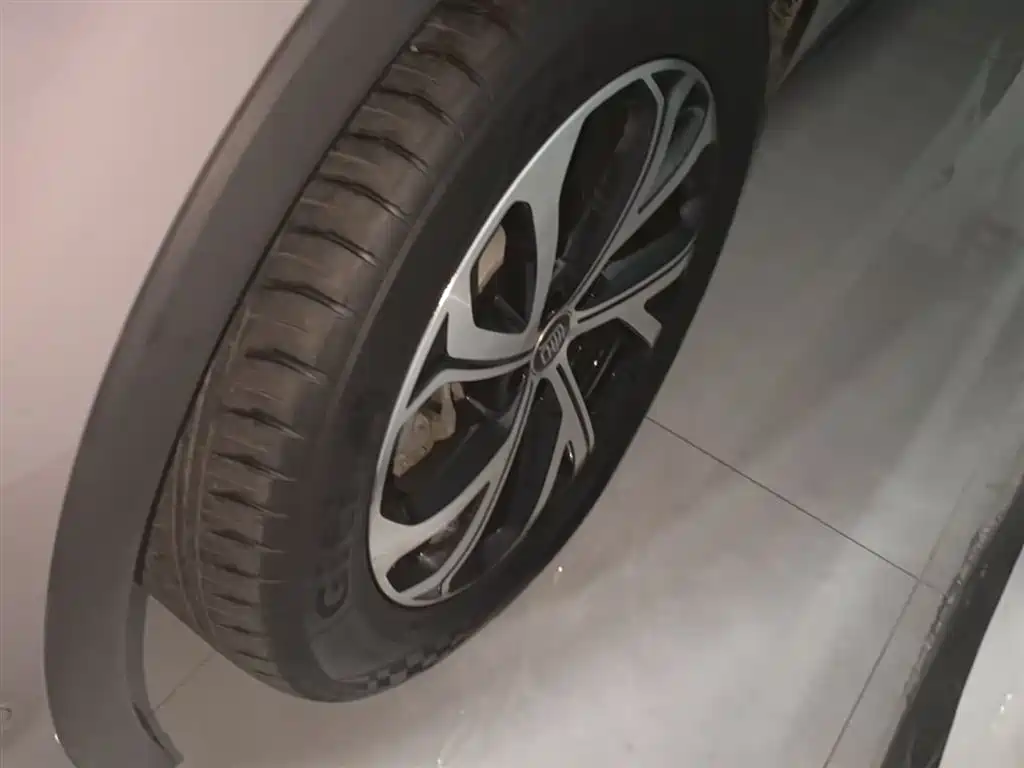 BYD Tang New Energy 2025 Smart Driving Edition DM-i 115KM Flagship фото 23