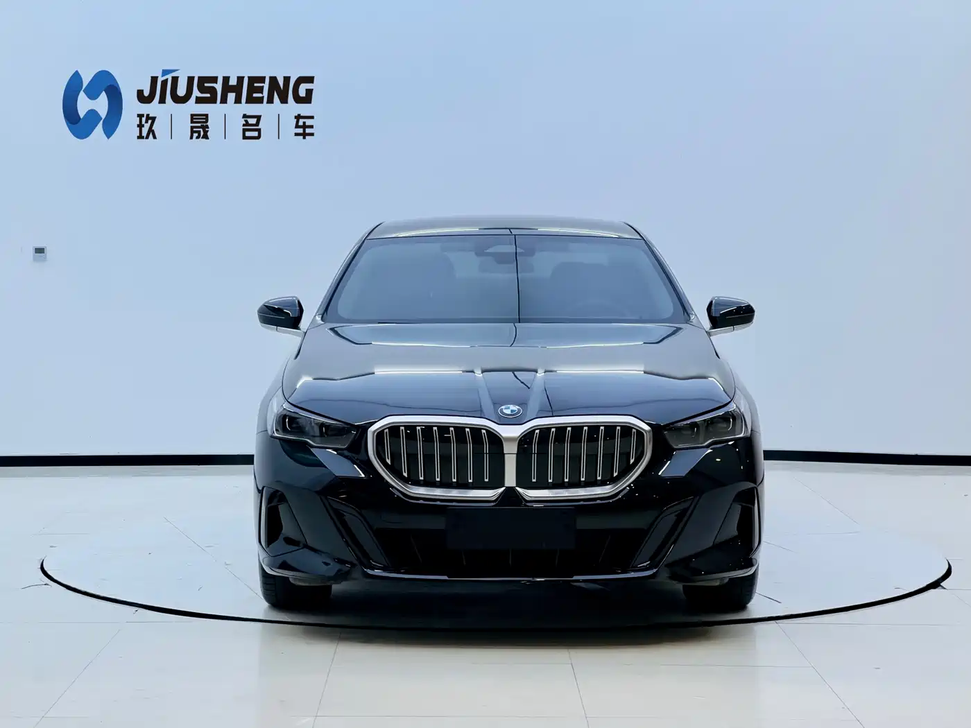 BMW 5 Series 2025 530Li Leading M Sport Package фото 2