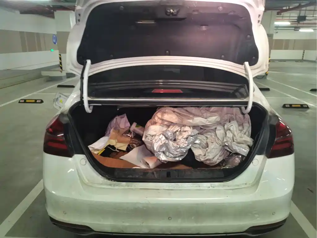 Geely Emgrand New Energy 2018 2018 EV350 Elite Edition