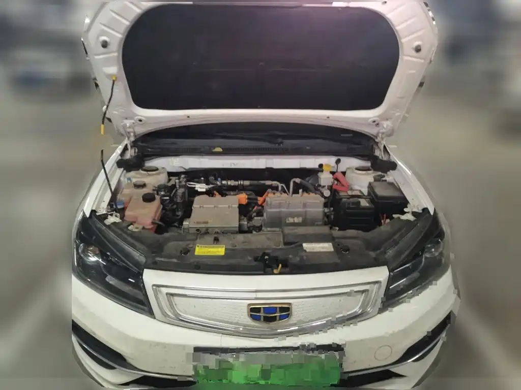 Geely Emgrand New Energy 2018 2018 EV350 Elite Edition