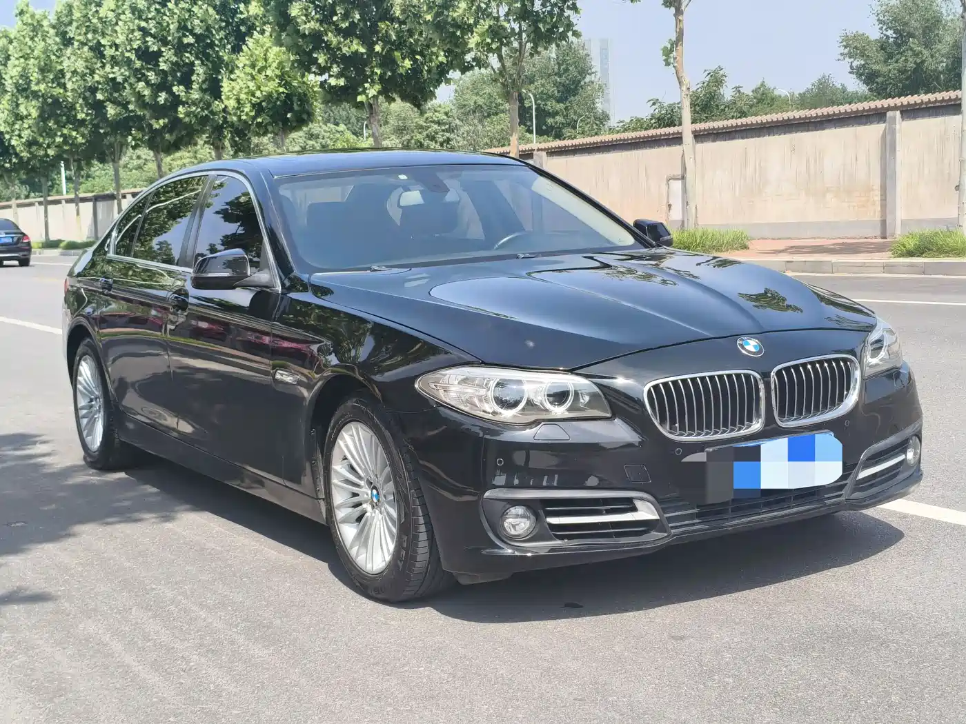 BMW 5 Series 2014 525Li Leading фото 2