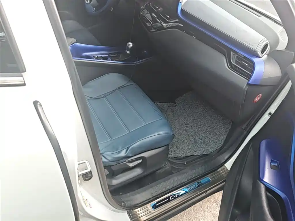 Toyota C-HR 2018 2.0L Luxury Edition China V фото 11