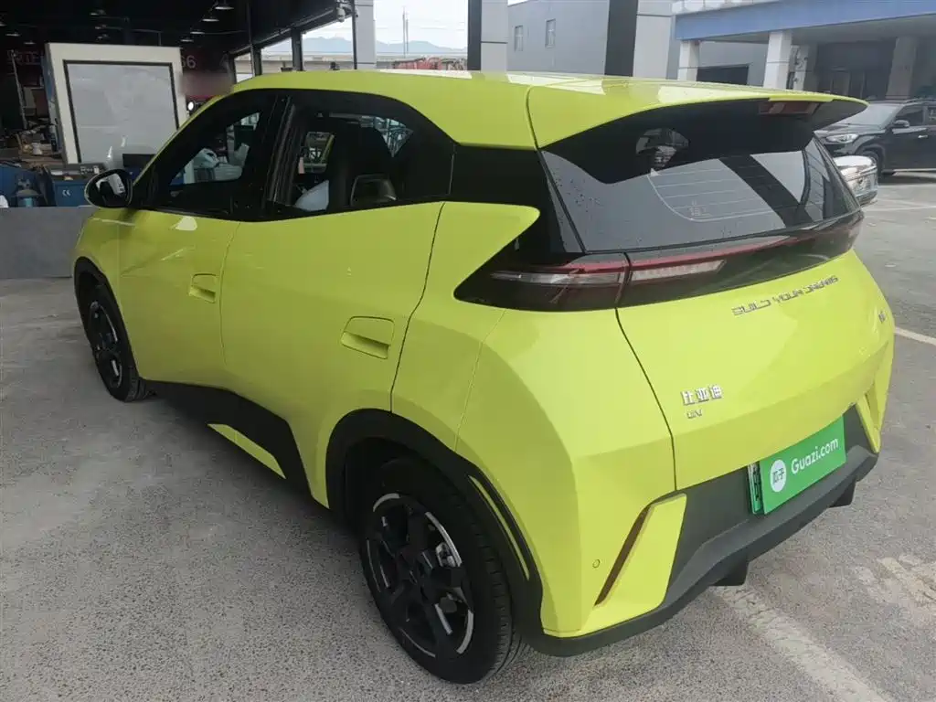 BYD Seagull 2024 Glory Edition 305km Freedom Edition фото 5