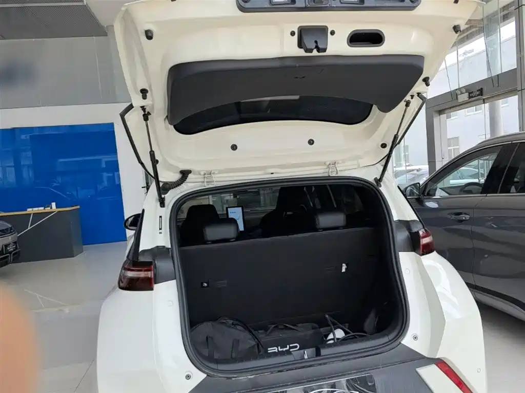 BYD Seagull 2024 Glory Edition 305km Vitality Edition фото 19
