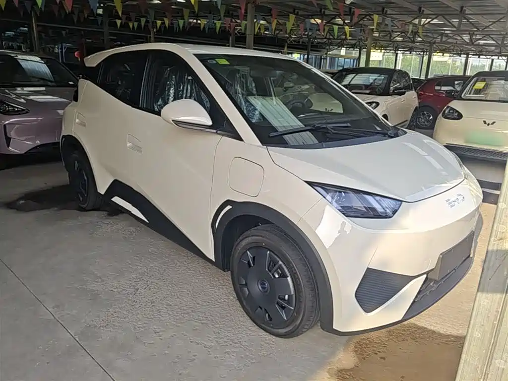 BYD Seagull 2025 Smart Drive Edition 305km Vitality Version фото 4