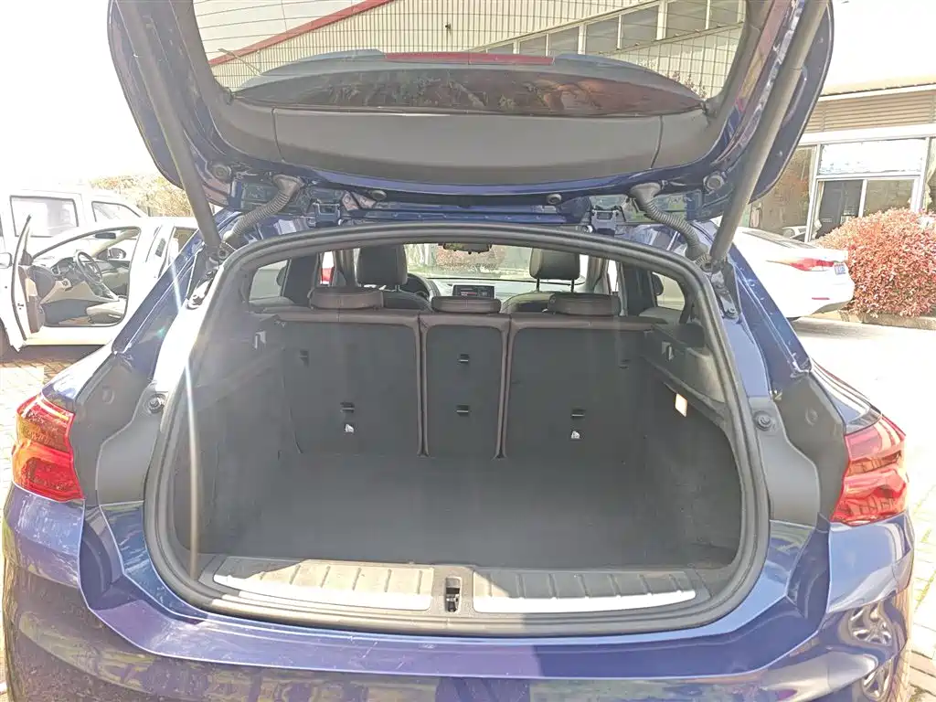 BMW X2 2020 sDrive25i Leading M Sport Package фото 19