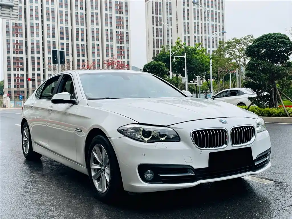 BMW 5 Series 2014 520Li Elegance фото 3