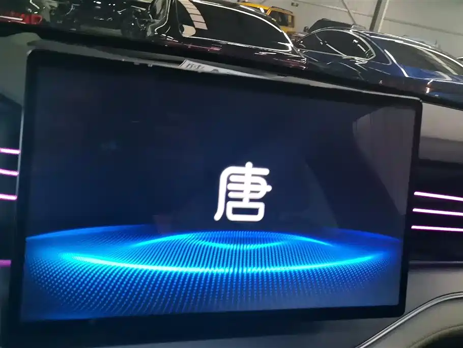 BYD Tang New Energy 2022 DM-p 215KM AWD Flagship фото 13