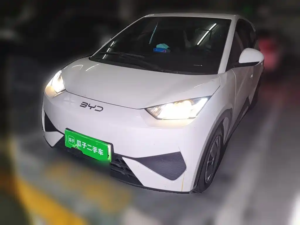 BYD Seagull 2025 305km Vitality фото 2