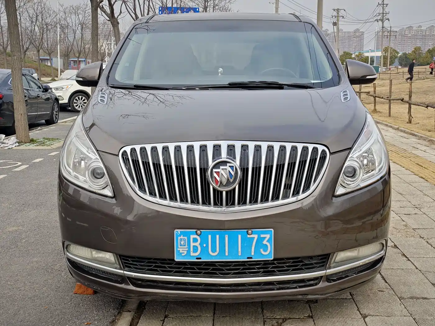 Buick GL8 2013 2.4L CT Luxury Business Comfort Edition фото 2